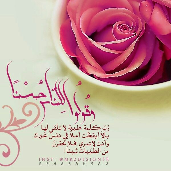 و قولوا لنا حسنا Flowers Rose Good Thoughts