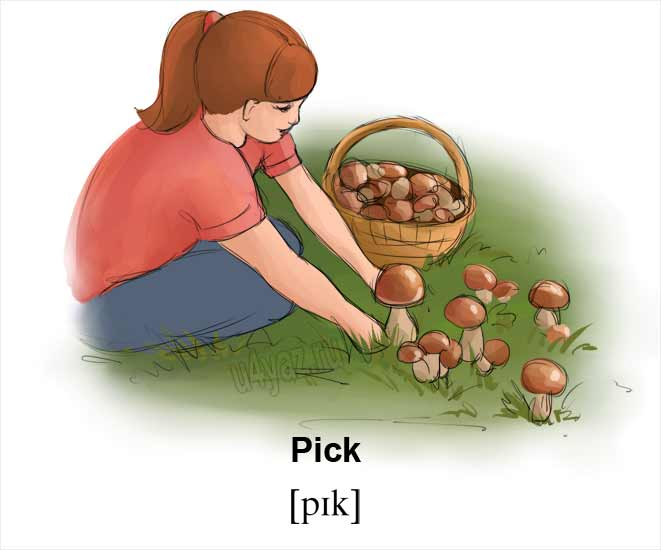 Pick up английский. Pick. Pick мультяшный. Pick картинка для детей. To pick up рисунок.