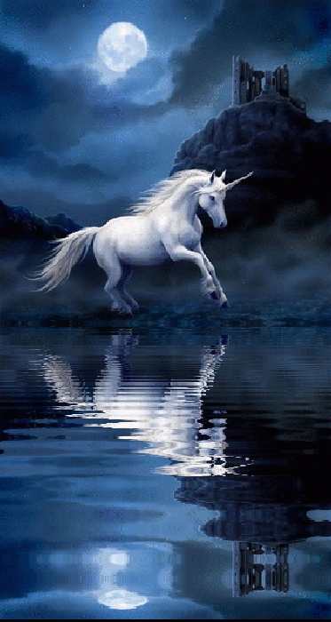 d1834c9df6396ce174015e6ba77931c3.gif