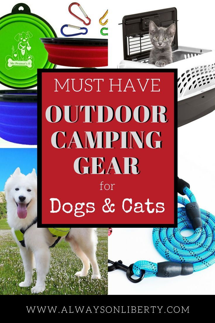 Cool Camping Gear for Dogs and Cats - Always On Liberty