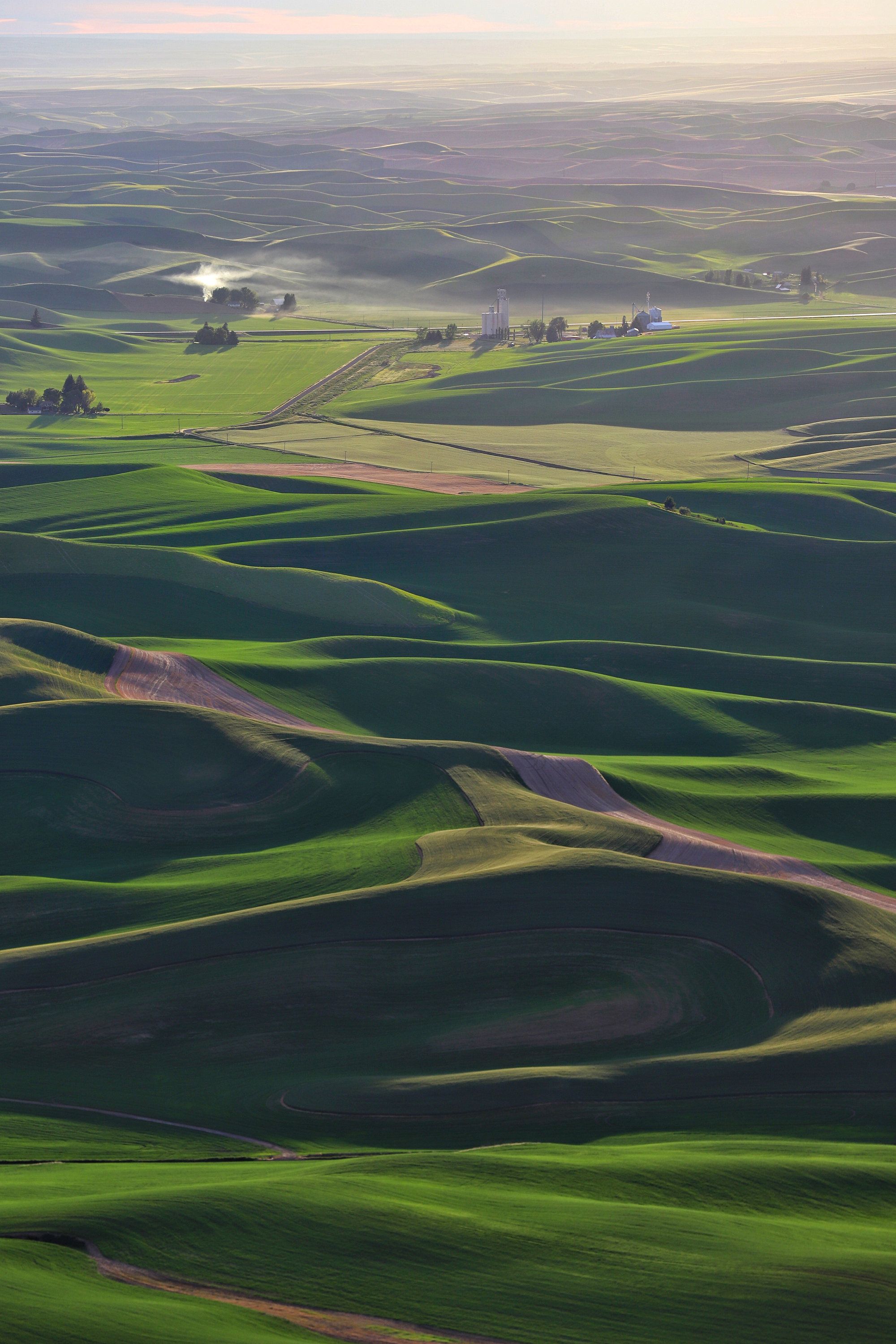 Palouse Hills - Scenic Landscape Photography - Palouse