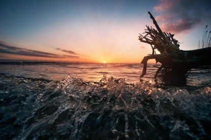 Single insel usedom