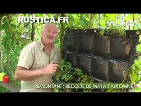 Mur végétal exterieur 12 poches - Mur Végétal, Jardin Vertical - faire un mur vegetal exterieur soi meme Mur végétal exterieur 12 poches - Mur Végétal, Jardin Vertical - faire un mur vegetal exterieur soi meme
