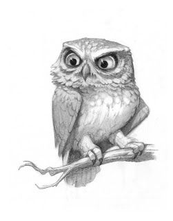 Sam S Tasty Art Owls Drawing Bird Art Owl Sketch