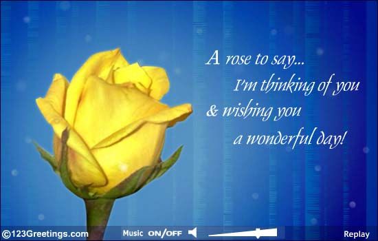 Beautiful Yellow Rose Means Friendship With Images Im