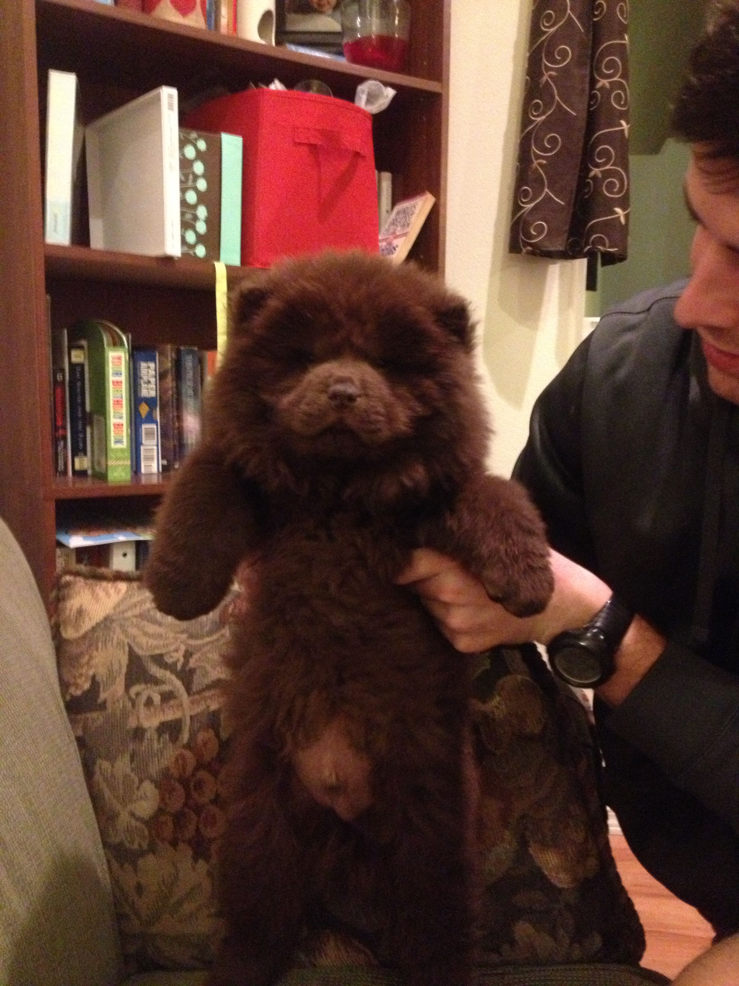 For Pet Care Information And Advice Visite Www Petcareadvisors