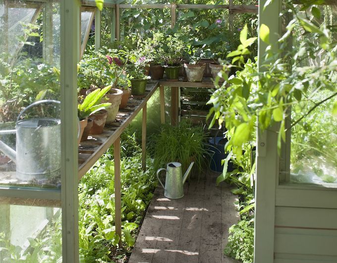 Buy staging from high-street and online retailers or make it yourself at home. Greenhouse Staging, Greenhouse Shelves, Diy Greenhouse Plans, Lean To Greenhouse, Greenhouse Interiors, Backyard Greenhouse, Greenhouse Growing, Greenhouse Benches, Wooden Greenhouses