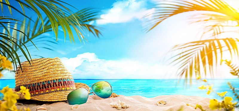 beach summer palm leaves straw hat beach background beach quotes