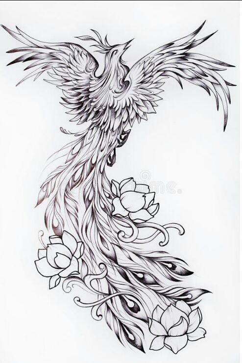 eres una chica "normal" pero un día pasa algo q esperaste por mucho t… #fanfic # Fanfic # amreading # books # wattpad Pretty Tattoos, Cute Tattoos, Flower Tattoos, Body Art Tattoos, Sleeve Tattoos, Tattoos Skull, Spine Tattoos, Tatoos, Phoenix Tattoo Feminine
