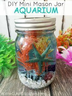 Mini Mason Jar Aquariums | Summer In Jars Series - A Little Claireification