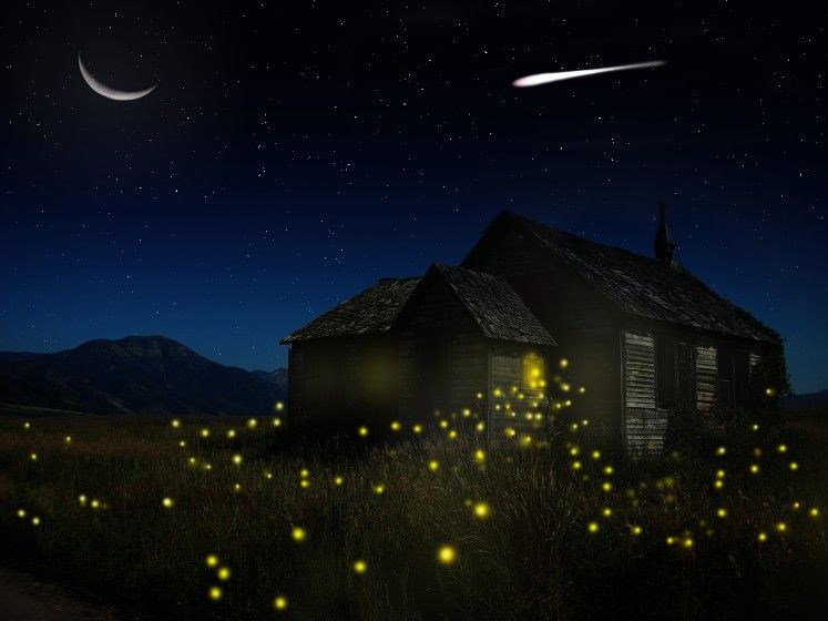 fireflies painting galleries real