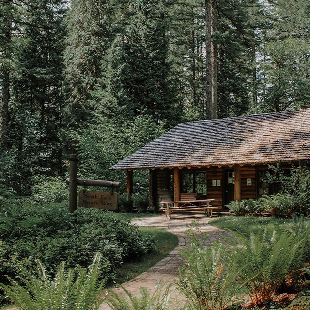 All about the cozy forest vibes 😋🌲 . . . . . . #hiking #hikeoregon #oregonhikes #pnwhikes #pnwhiking #pnwhiker #adventure #wanderlust #getlost #travel #travelphotography #nature #naturephotography #cabin #cabinsdaily #cabinlife #explore #exploremore #pnw #pnwparadise #pnwwonderland #pnwphotography #pnwphotographer #forest #pnwadventures #pacificnorthwest #oregon #northwest #photography #photographer