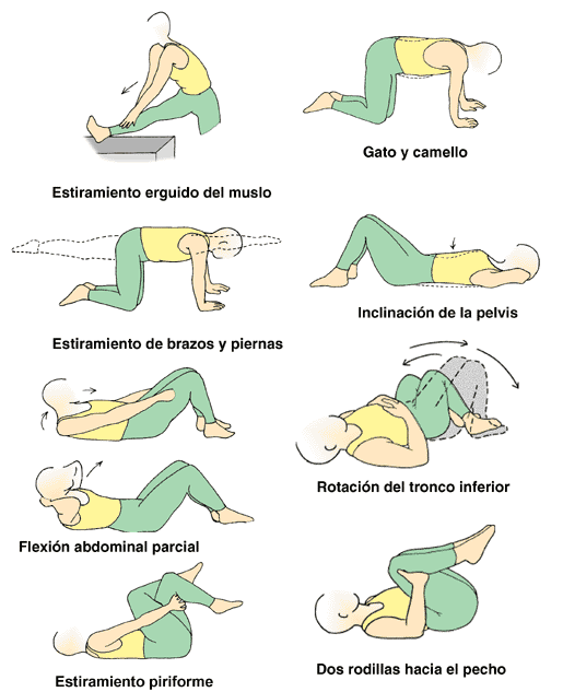 Merkabici Bicicletas Segunda Mano Ejercicios Para Dolor De Espalda Dolor De Espalda Ejercicios Lumbares