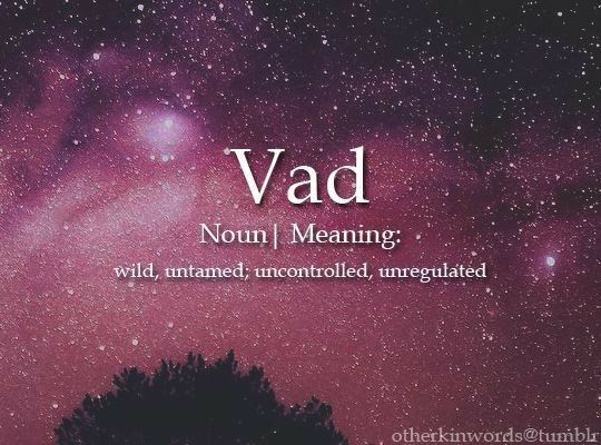 23 Beautiful Words We Don’t Hear Often – Curious Cat Fancy Words, Weird Words, Unusual Words, Big Words, Words To Use, Pretty Words, Beautiful Words, Cool Words, English Vocabulary Words