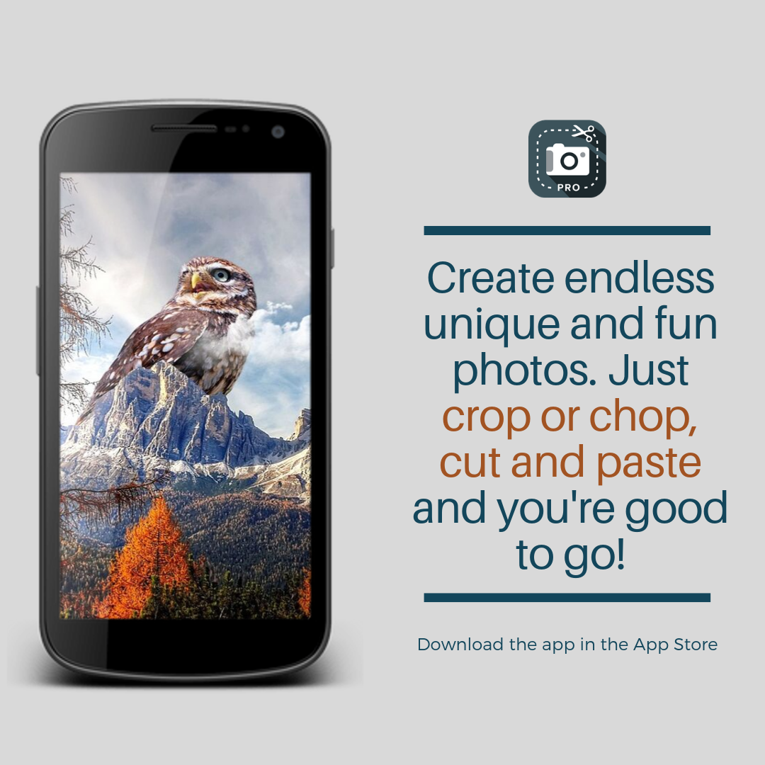 Looking to create a piece without limits? Check Cut Paste Photos Pro and start enjoying a wide range of features that we've created just for you! Download the app from the App Store! Cut And Paste, Unique Photo, App Store, Limits, Enjoyment, Start, Range, Download, Wide