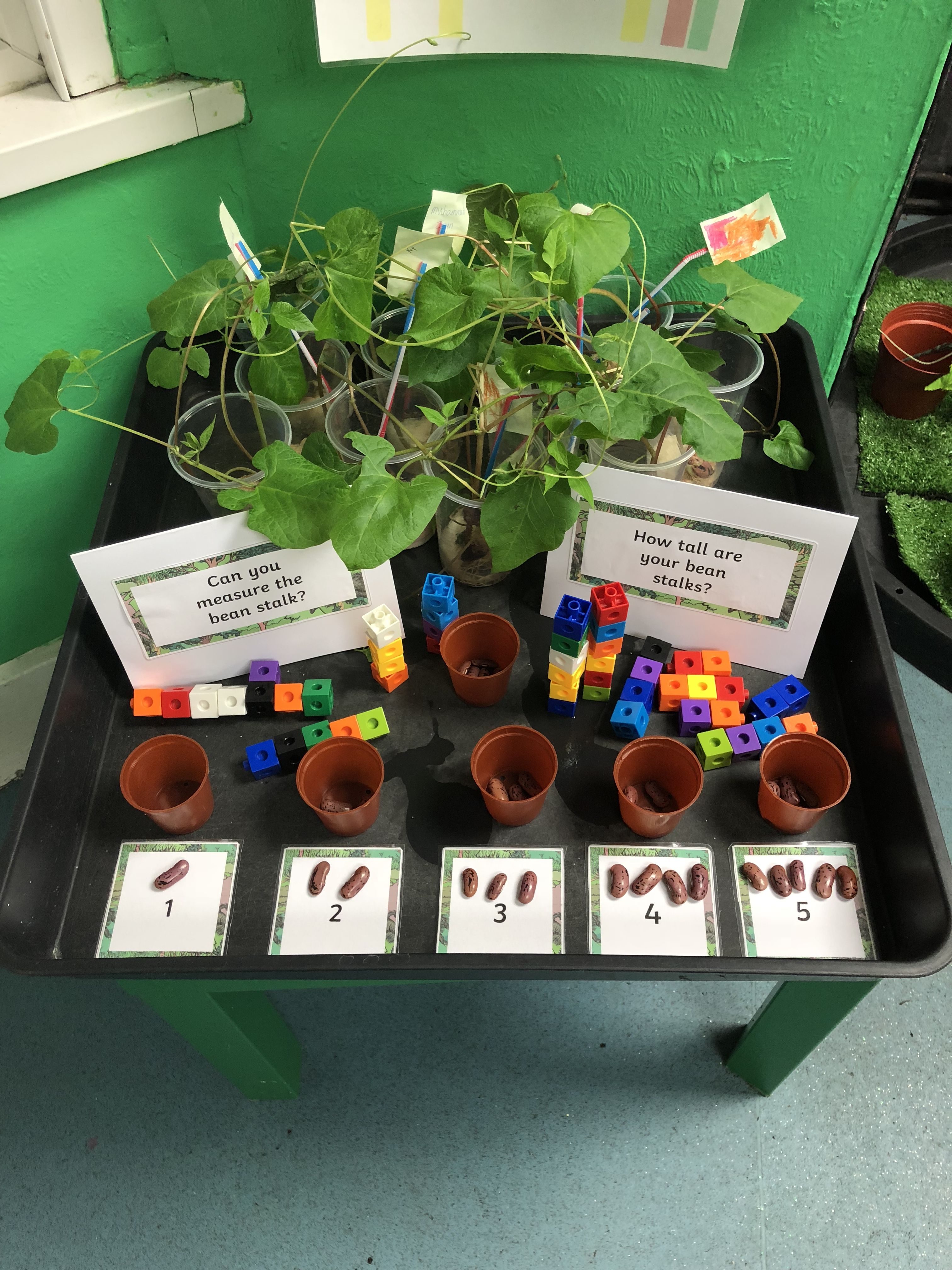 Maths challenge, bean stalks, counting, jack and the bean stalk, spring