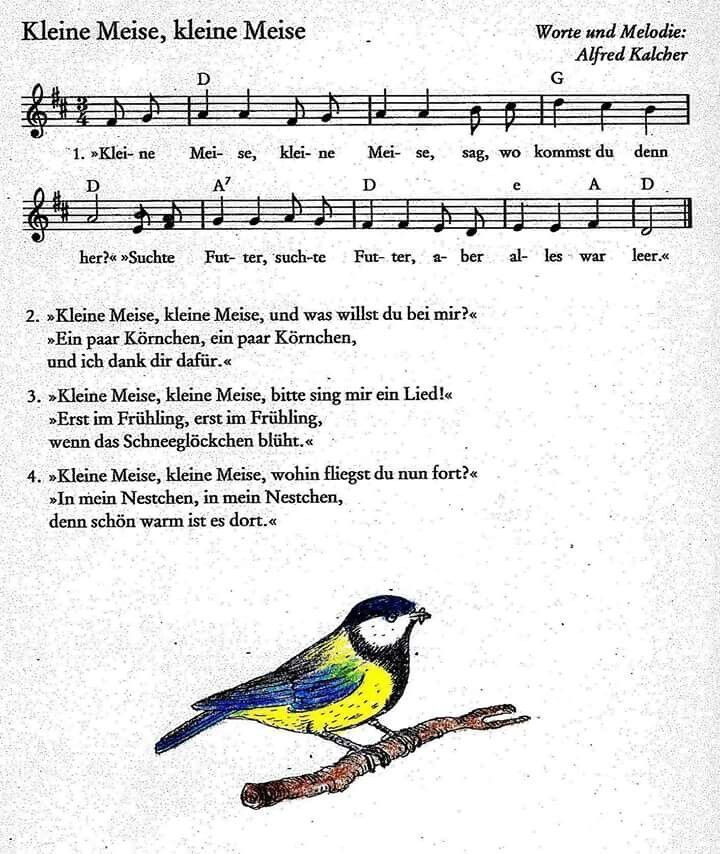 Kennenlernen lieder