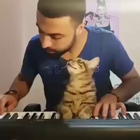 Just a happy cat. It’s enough. Just a happy cat. It’s enough.