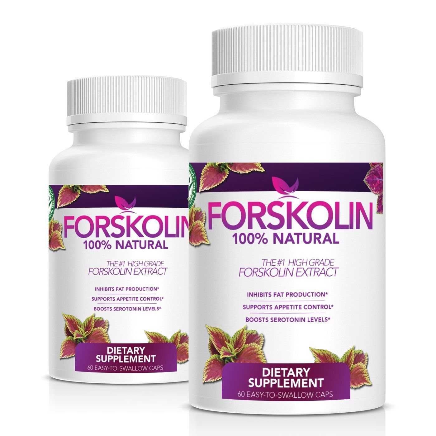 forskolin d2