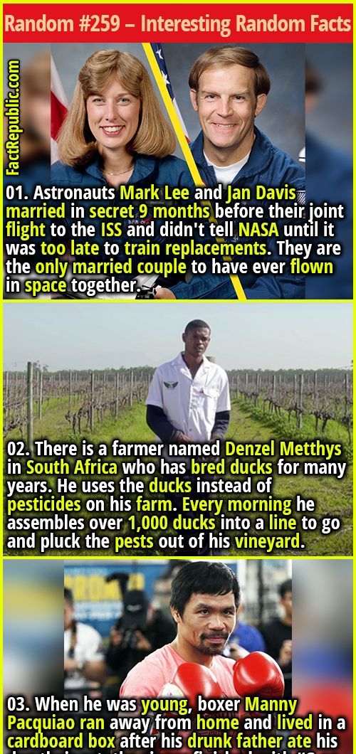 01. Astronauts Mark Lee and Jan Davis married in secret 9 months before their joint flight to the ISS and didn't tell NASA until it was too late to train replacements. They are the only married couple to have ever flown in space together. #nasa #astronaut #space #relationship #husband #wife #didyouknow #interesting #fascinating #boxer #southafrica #ducks #farmer #environment #father #dad #daddy Scary Facts, Bizarre Facts, Random Fun Facts, Funny Facts, Odd Facts, Strange Facts, Random Stuff, Daily Facts, Life Facts