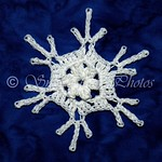 Snowcatcher Snowflake Directory