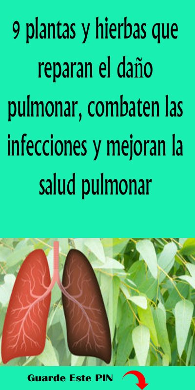 Remedios caseros para infecciones pulmonares