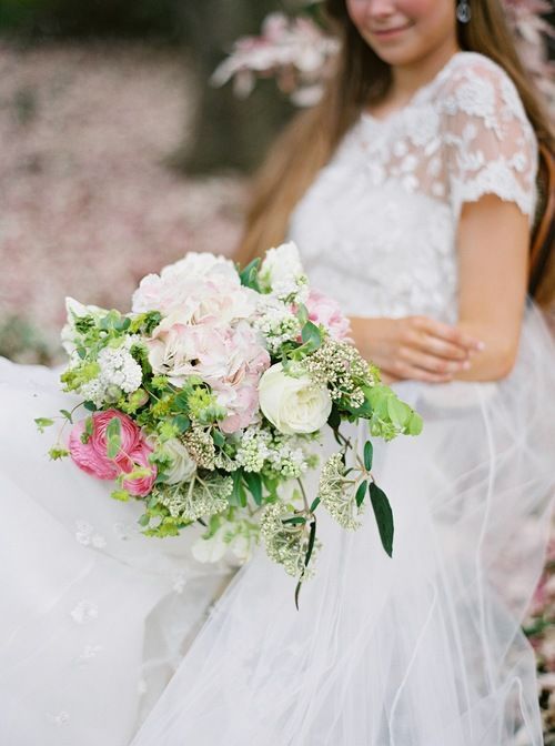 Pin on The Flowers