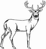 free wood burning patterns for beginners - Yahoo Image Search Results #burnedwoodstenciling free wood burning patterns for beginners - Yahoo Image Search Results #burnedwoodstenciling free wood burning patterns for beginners - Yahoo Image Search Results #burnedwoodstenciling free wood burning patterns for beginners - Yahoo Image Search Results #burnedwoodstenciling