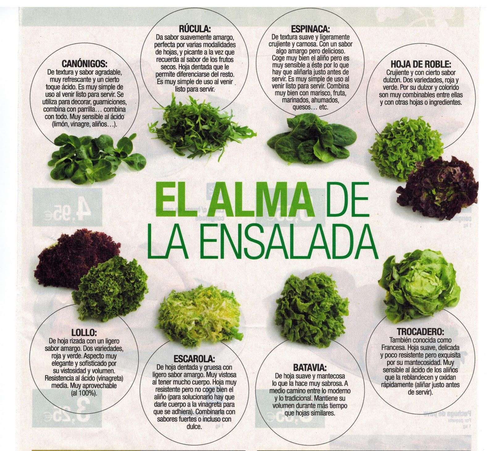 Lechugas Variadas Para Las Ensaladas Tipos De Lechuga Ensaladas Súper Alimentos