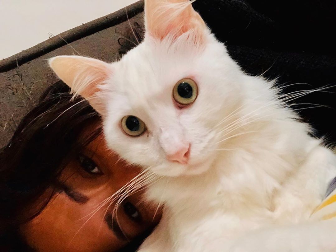 Selfies with Manji #cat #catsofinstagram #catlife #cats #catstagram #catsofig #cool #best #love #son #family #familytime #latergram #pic #photo #photooftheday #selfie #amour #paws #wiskers #color #top #amazing #manjarblanco