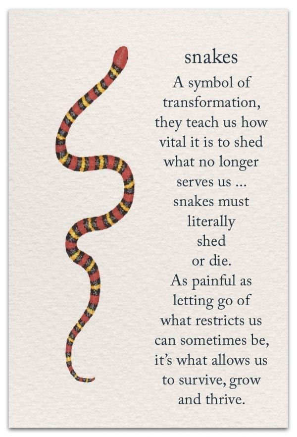 Meanings of Life - Page 4 of 7 - Cardthartic Meanings of Life - Page 4 of 7 - Cardthartic