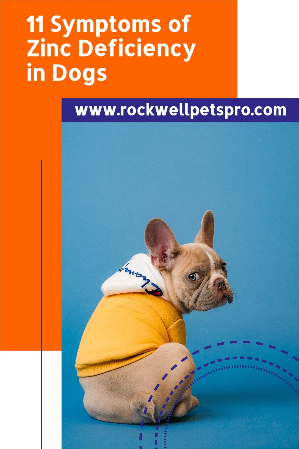 Puppy Health, Dog Health Tips, Diabetic Dog Food, Dog Vitamins, Zinc Deficiency, Lethargy, Dog Nutrition, Puppy Owner