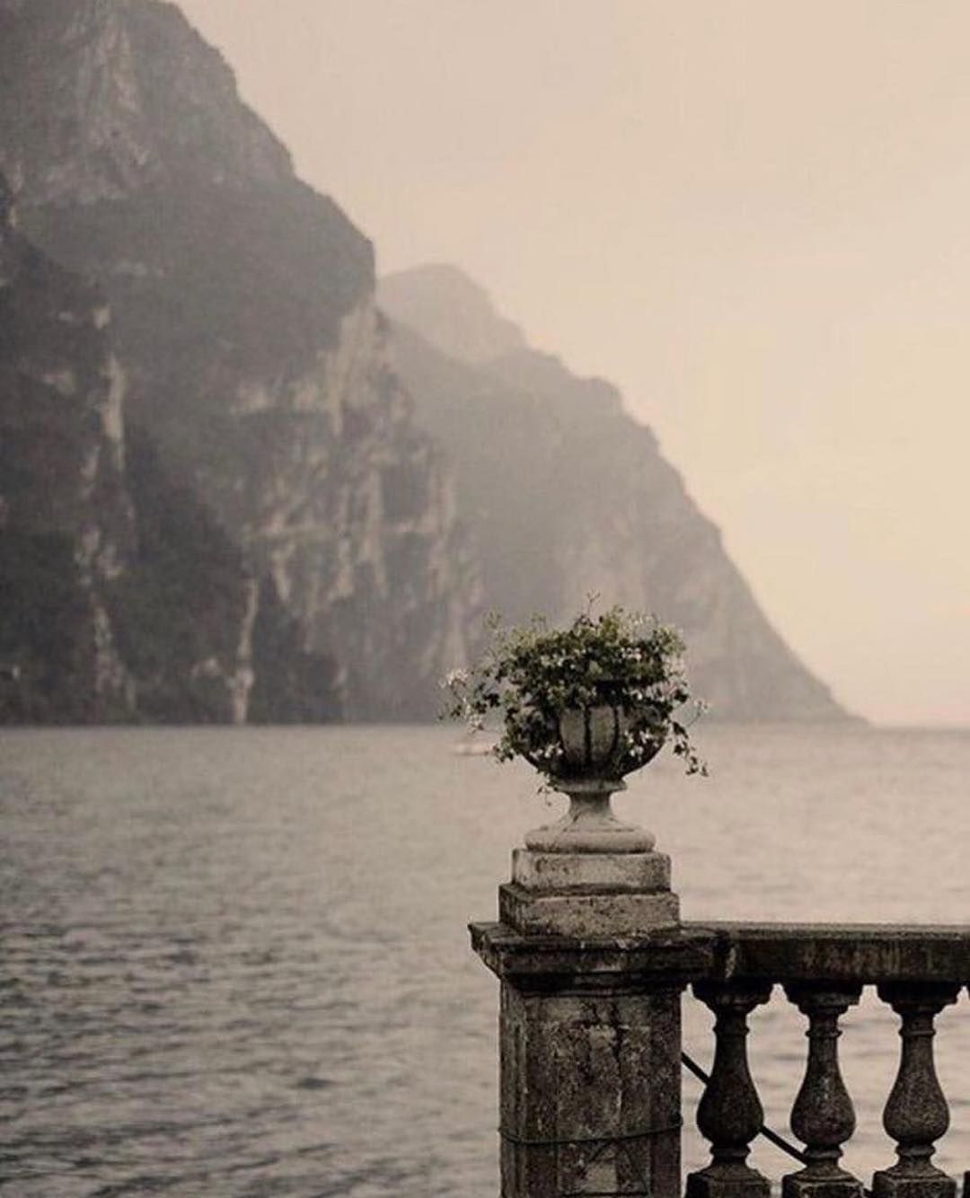 Inside the Instagram Saved Folder of Chef Camille Becerra