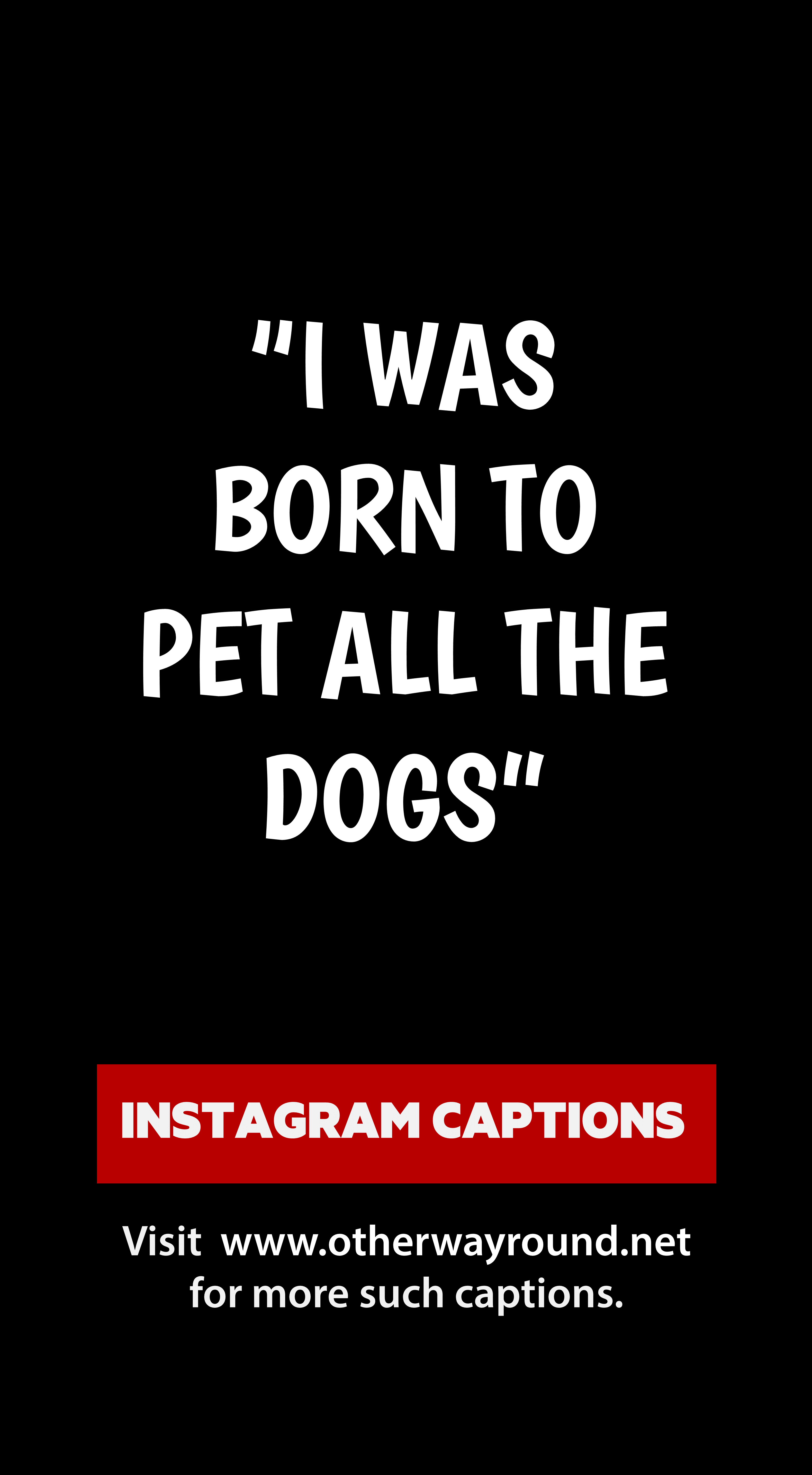 77 UNUSED Captions For Your Dog s Instagram In 2021 Funny Dog ig-captions-instagram-quotes-instagram-captions-boyfriend-cute