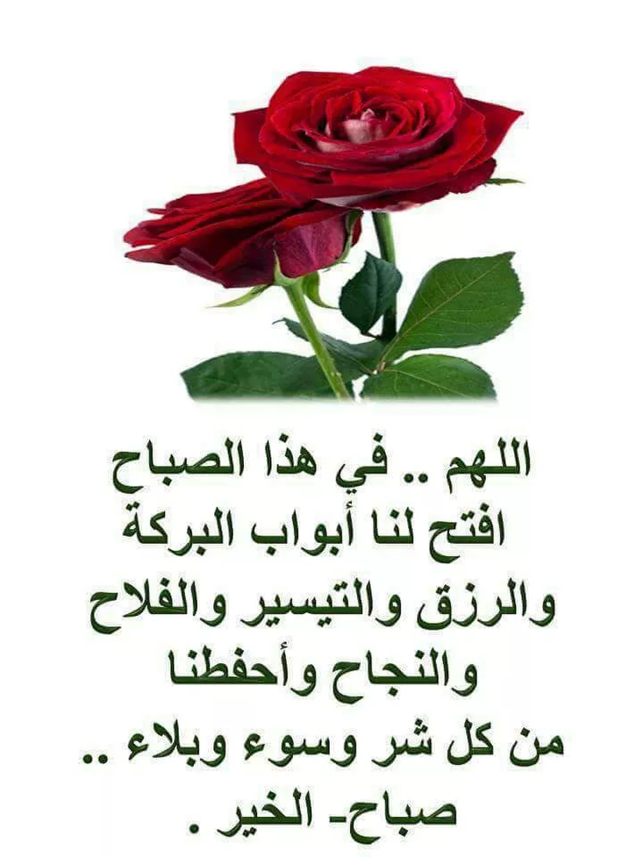 Fascinating Good Morning Beautiful Images Videos Fascinating Good Morning Beautiful Images Videos
