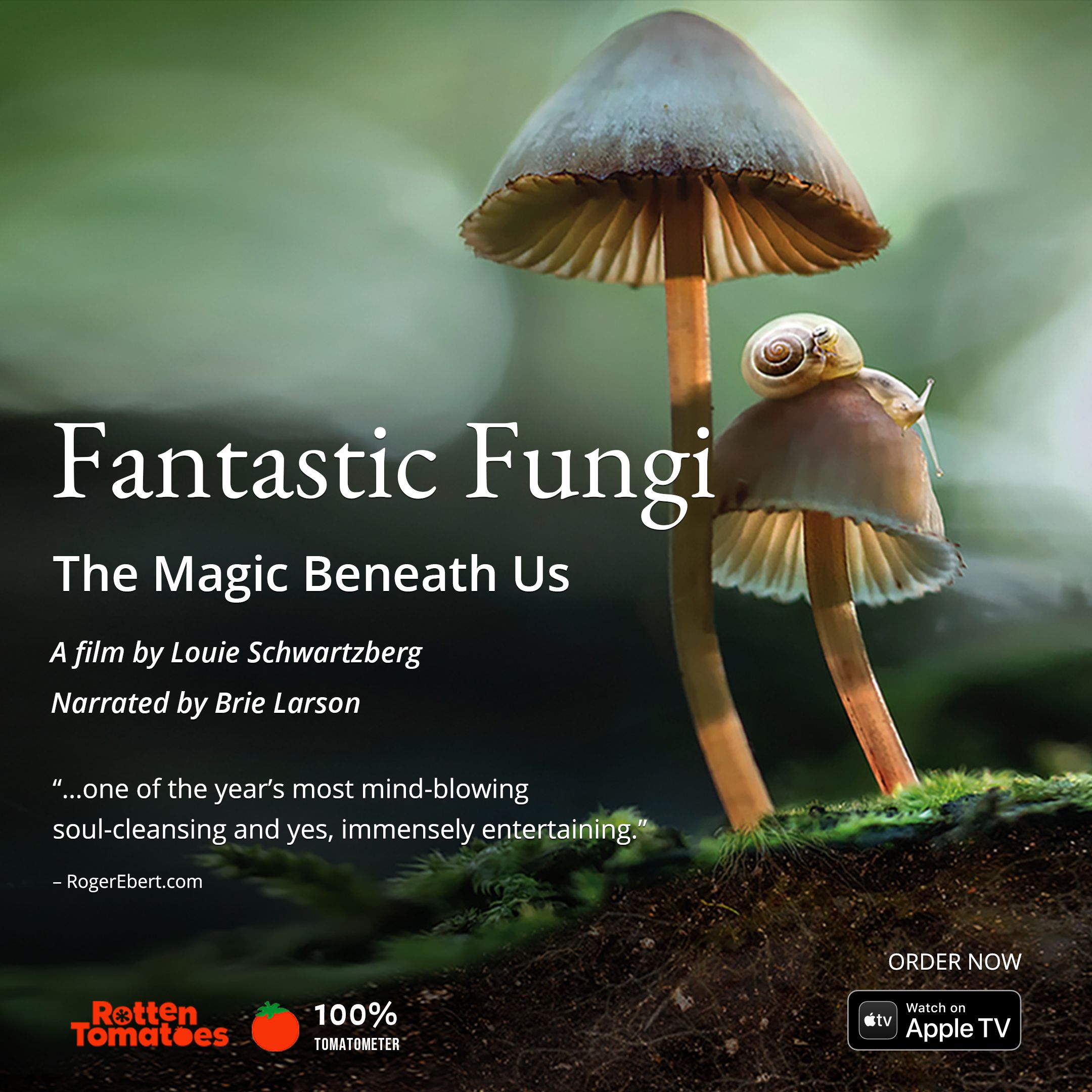 fungi filmfilm