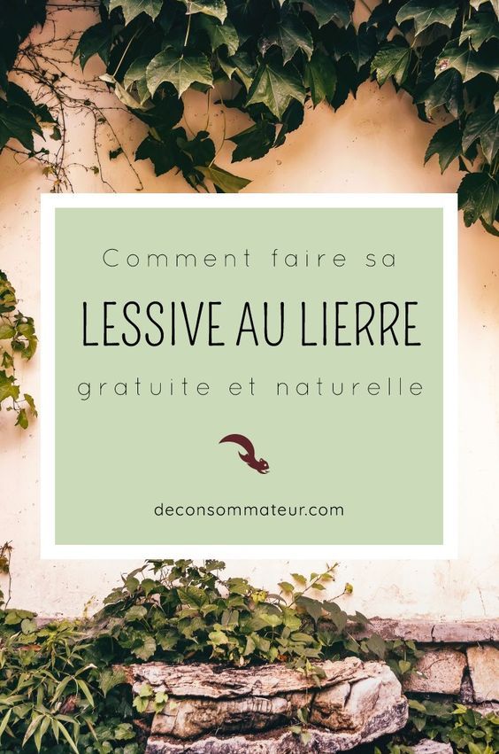 Comment faire de la lessive au lierre ? (gratuit, naturel astuces - faire son plan de maison gratuit Comment faire de la lessive au lierre ? (gratuit, naturel astuces - faire son plan de maison gratuit