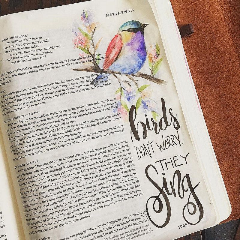 "Look at the birds of the air: they neither sow nor reap not gather into barns, and yet your Heavenly Father feeds them. Are you not more valuable than they?" Matthew 6:26 #biblejournaling #illustratedfaith #handlettering | by Harlan & Yvette Bible Study Journal, Scripture Journaling, Scripture Study, Bible Art, Scripture Doodle, Bible Drawing, Bible Doodling, Bible Prayers, Bible Scriptures