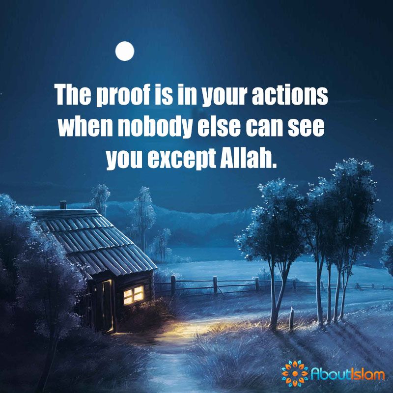 The Proof Is In Your Actions When Only Allah Can See You Islam Faith Actionsspeaklouderthanwords Incredible Quote Islamic Teachings Quran Verses The Proof Is In Your Actions When Only Allah Can See You Islam Faith Actionsspeaklouderthanwords Incredible Quote Islamic Teachings Quran Verses