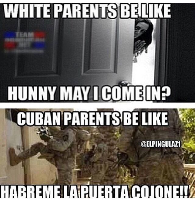 funny cubans being cuban pinterest humor, memes and funny quotes d36d2f4806ac829097b29eb2a3a88302 funny cubans being cuban pinterest humor, memes and funny quotes