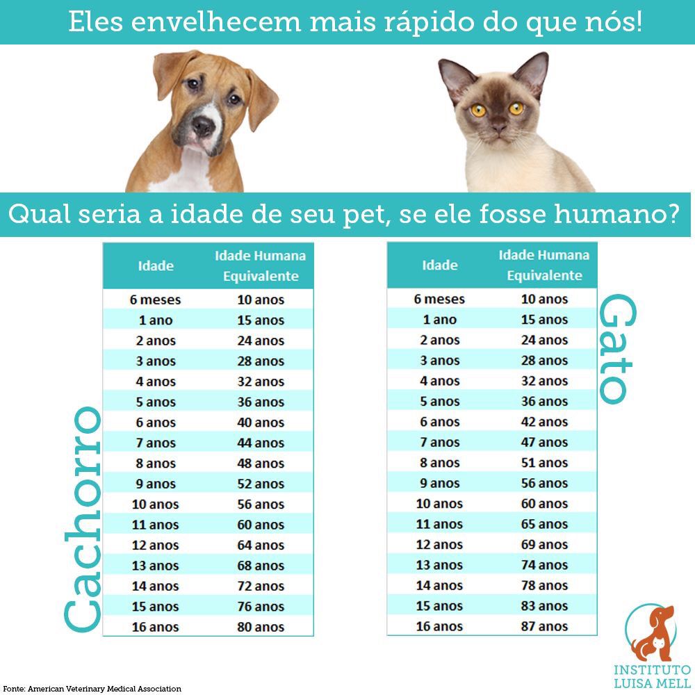 TextNow Download