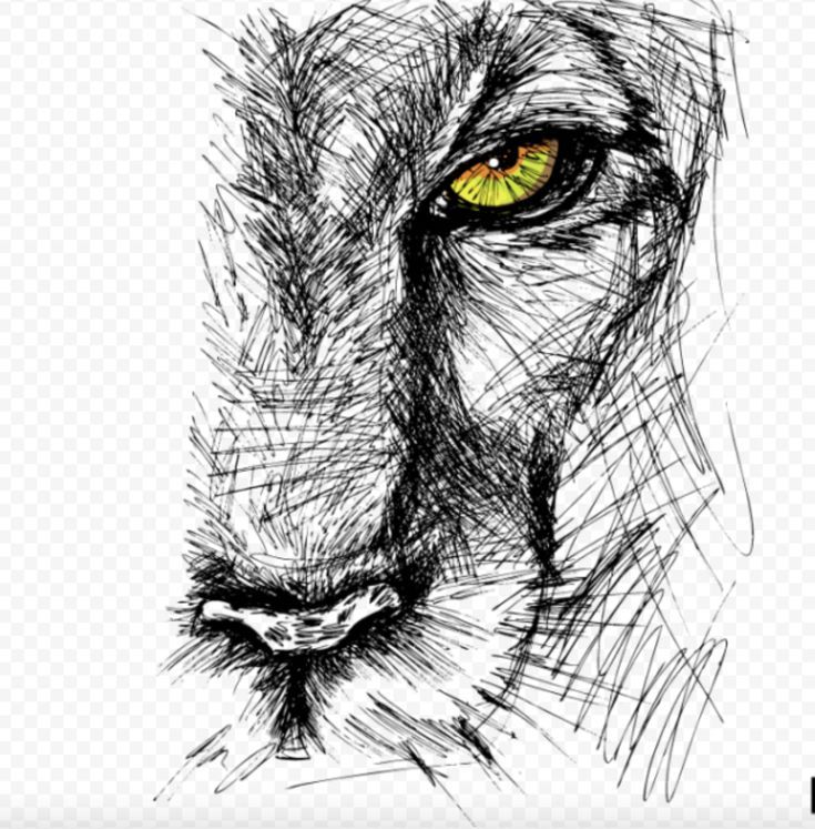 Sketch Tattoo Design, Tattoo Sketches, Tattoo Designs, Black And White Lion, Black White Photos, Lion Sketch, Affordable Wall Art, Tattoo Images, Arm Tattoo