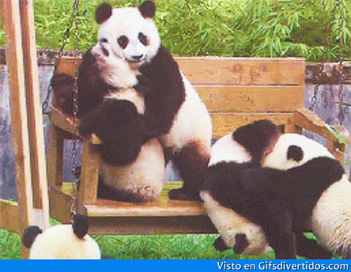 Top 37 Cool Gifs Jokes 021652 Pm Wednesday 14 December 2016 Pst
