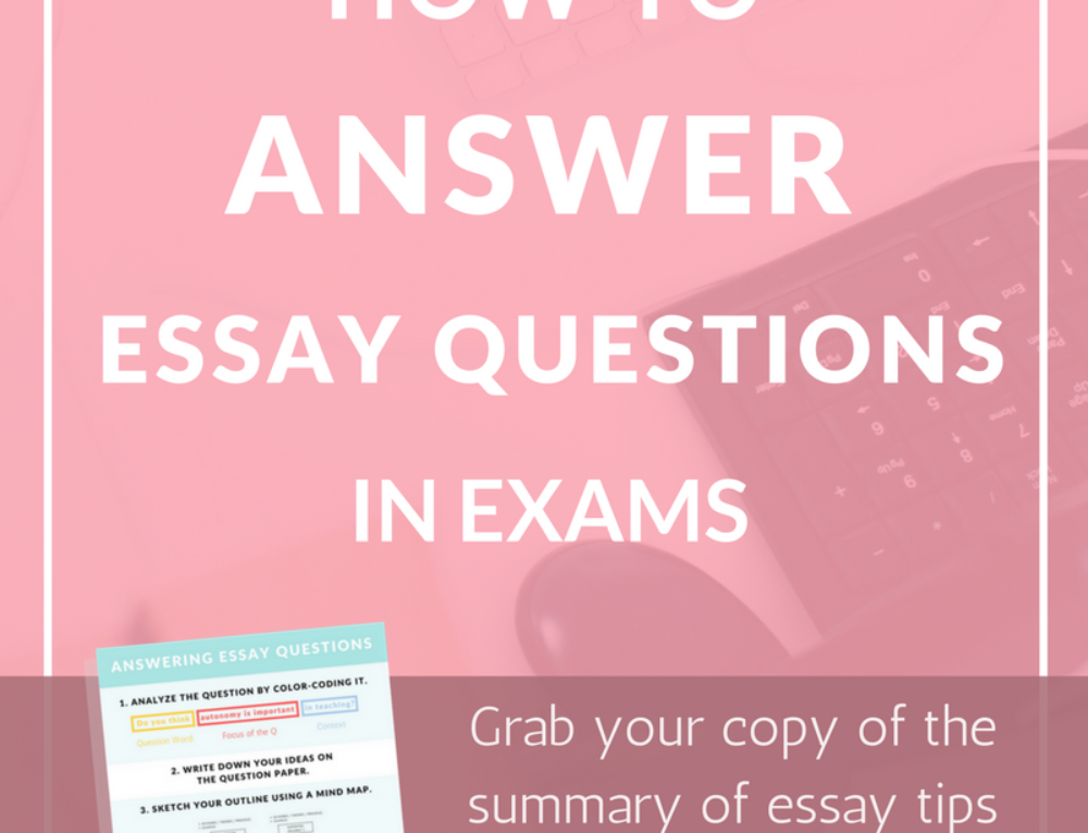 Study help essay questions