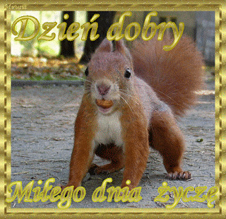 Wierszegify Na Dzień Dobry Gify Milego Dnia Dzien Dobry