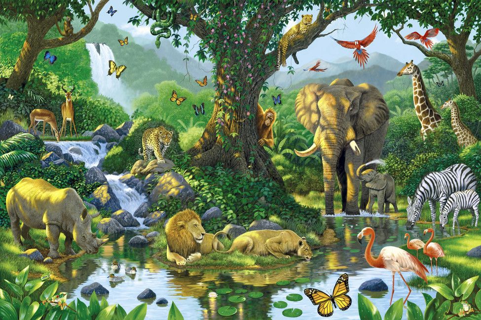 Jungle Harmony Wall Mural Photo Wallpaper 風景の絵 絵 插画 Jungle Harmony Wall Mural Photo Wallpaper 風景の絵 絵 插画