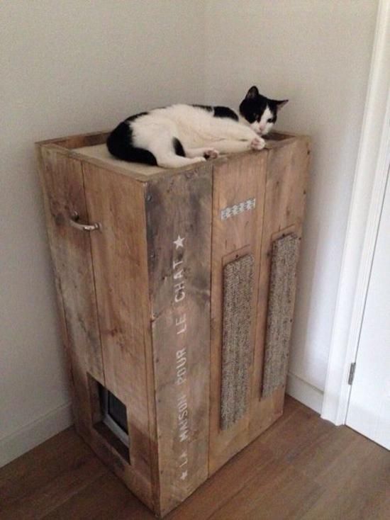 Life Relationships Cat Litter Box Ideas Pinterest We All Know Cats Rule But Their Litter Bo Can Be An Eyesore Get Creative With These Cool Ways To Hide And Incorporate Your Kitty S Box Into
