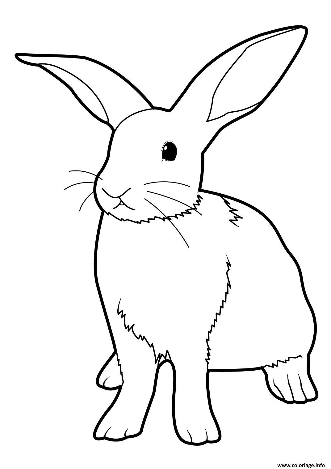 4 Tendance Dessin à Colorier Lapin Photograph di 4 4 Tendance Dessin à Colorier Lapin Photograph di 4