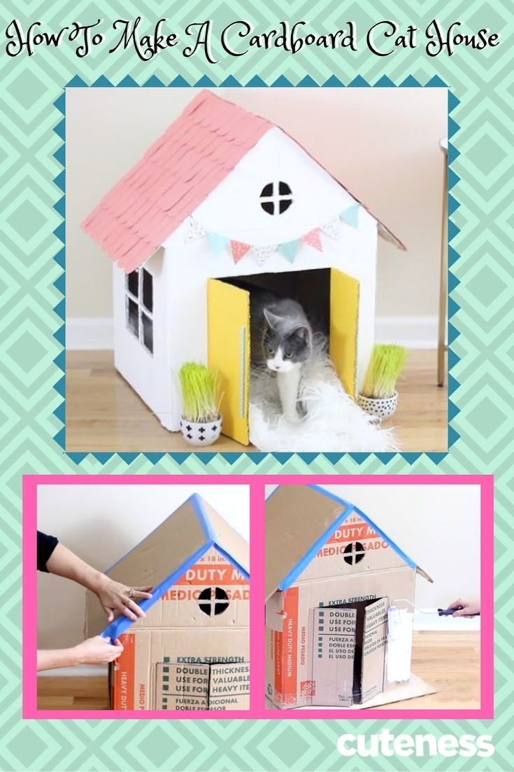 Dieses DIY ist purrfect für Katzen, die Pappe lieben und Leute, die ihr Kit lie...