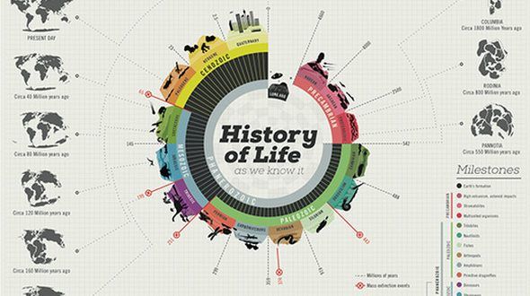 related image data visualization infographic timeline example of a timeline